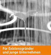 Logo, Gesch&auml;ftsausstattung, Flyer